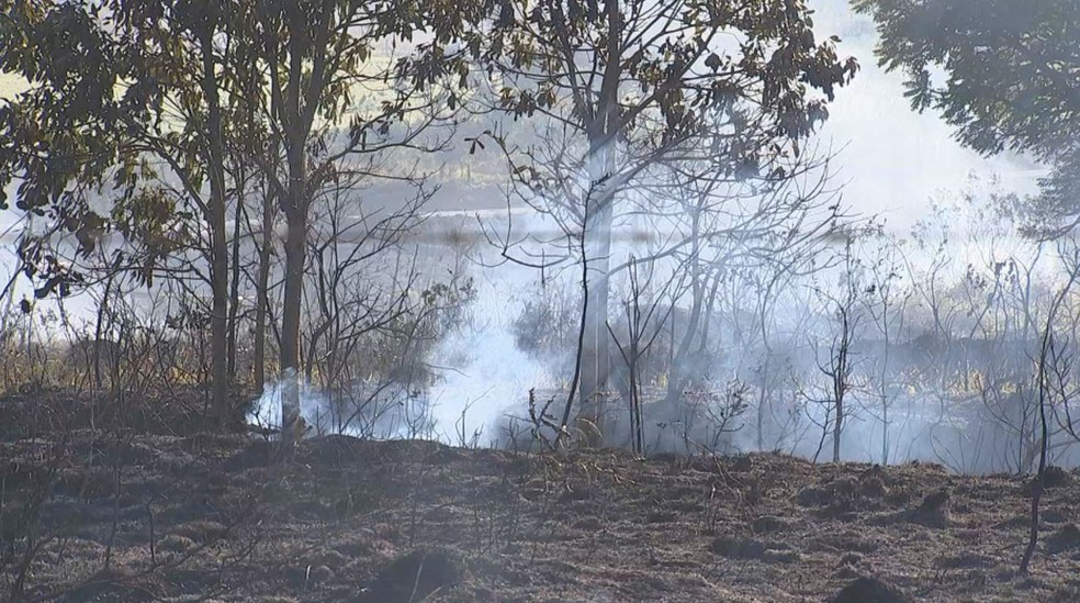 ApÃ³s duas horas, bombeiros controlaram fogo em Ã¡rea de Itapetininga (Foto: Renan Ciconelo/TV TEM)