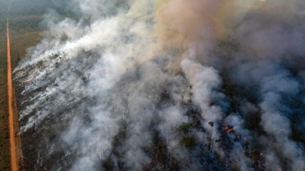 Especialistas acreditam que a maioria dos incêndios no Brasil neste ano foi causada pela atividade humana (Foto: ANISTIA INTERNACIONAL VIA BBC)
