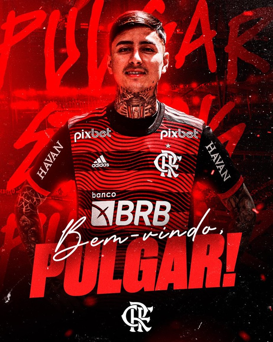 Erick Pulgar, reforço do Flamengo.