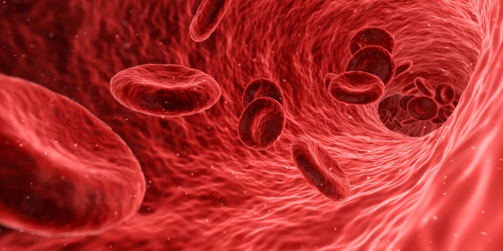 Vasos sanguíneos transportam sangue e podem levar a doenças graves quando são interrompidos (Foto: Quimono/CC0 Creative Commons/Pixabay)