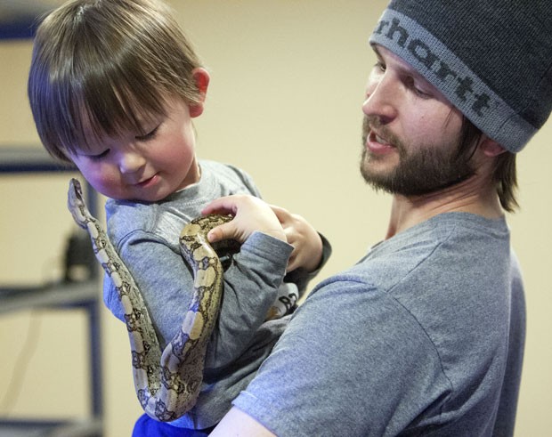 Daiden não tem medo e brinca com uma das cobras de estimação do pai (Foto: Scott G. Winterton/The Deseret News/AP)