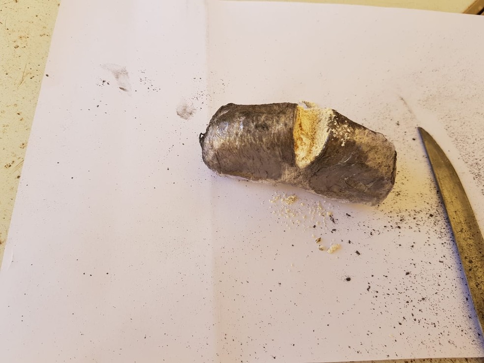 Entre as apreensões de Martinópolis está a cocaína (Foto: SAP/Divulgação)