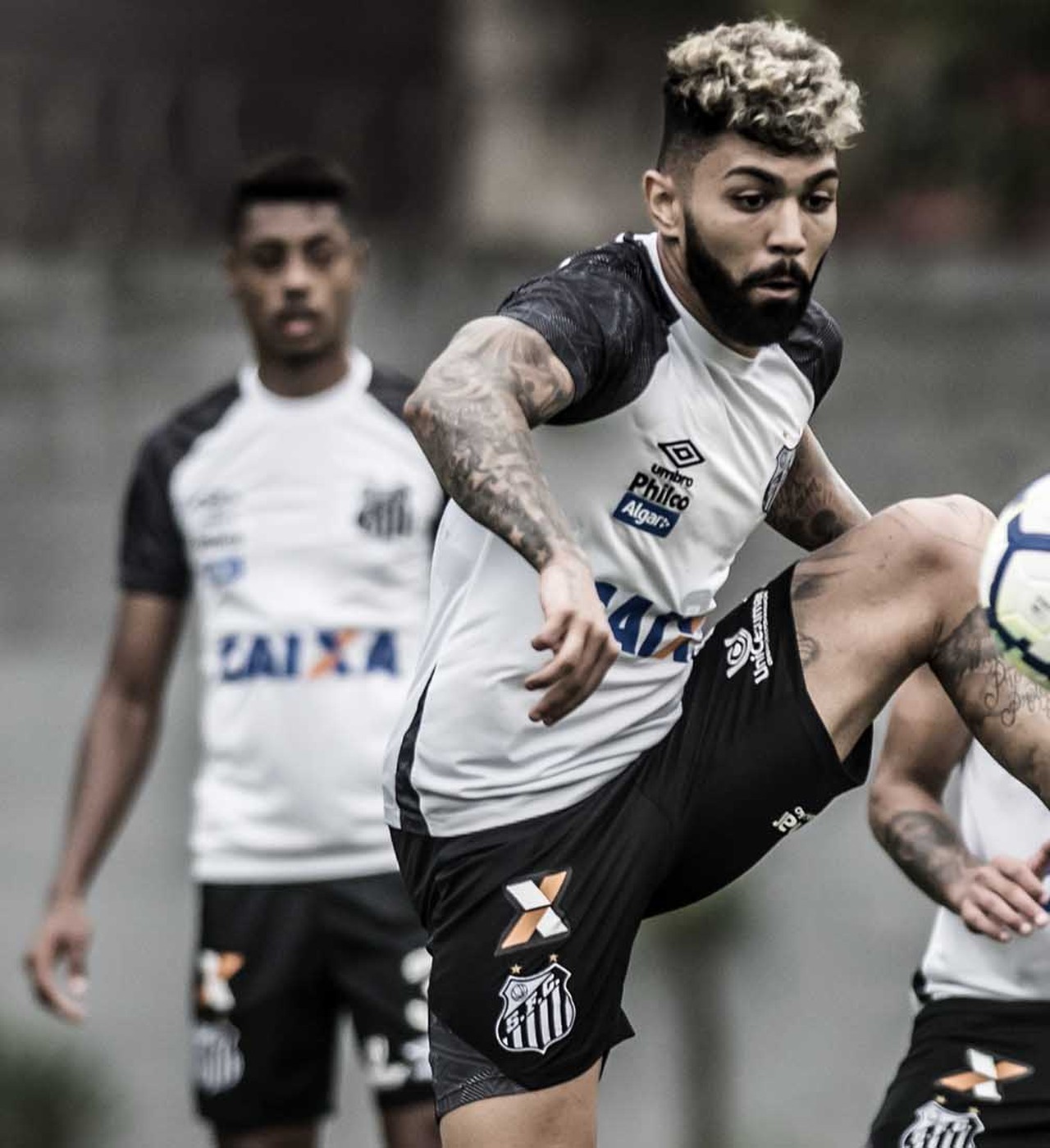 Mano Menezes não acredita em dupla do Santos no Cruzeiro em 2019: Sei que aí não vai dar peixe