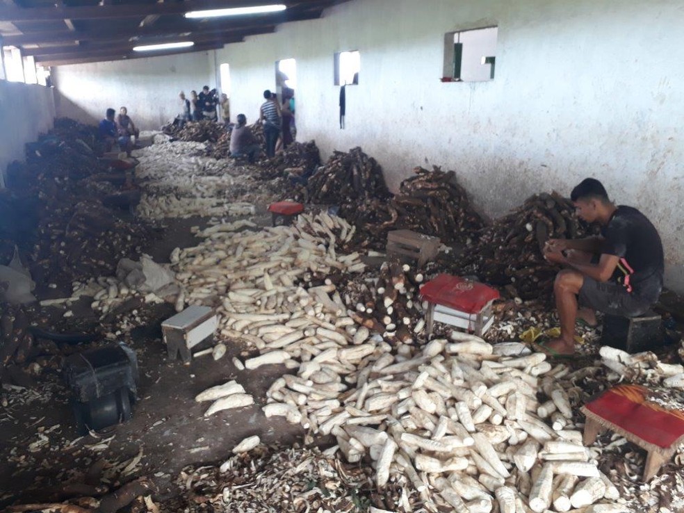 Trabalhadores de casas de farinha em Alagoas eram mantidos em condiÃ§Ãµes degradantes e sem garantias trabalhistas (Foto: MinistÃ©rio do Trabalho/DivulgaÃ§Ã£o)