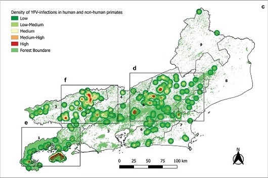 No RJ, áreas com maior incidência de febre amarela em pessoas e macacos têm grandes florestas ou mosaicos de fragmentos florestais e pastagens (Foto: Filipe Abreu e colaboradores)