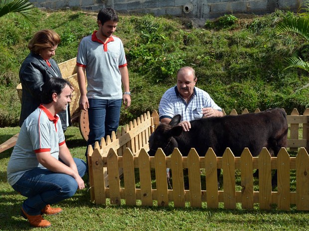 Mini Fazenda Brasil