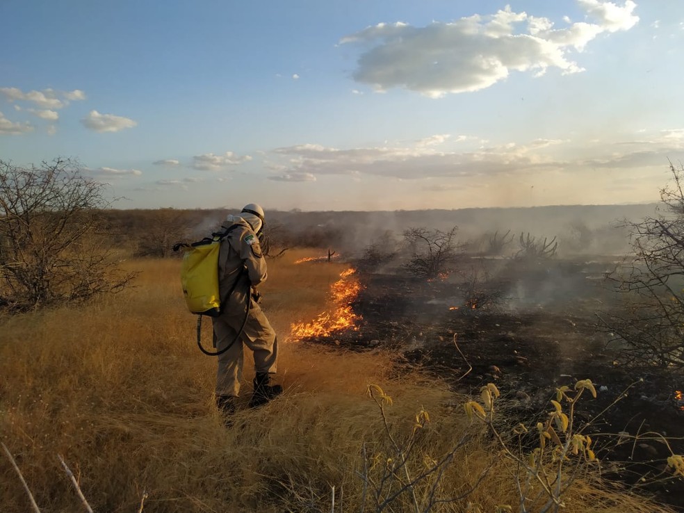 Inc&ecirc;ndios florestais aumentaram no Rio Grande do Norte &mdash; Foto: Divulga&ccedil;&atilde;o/CBMRN
