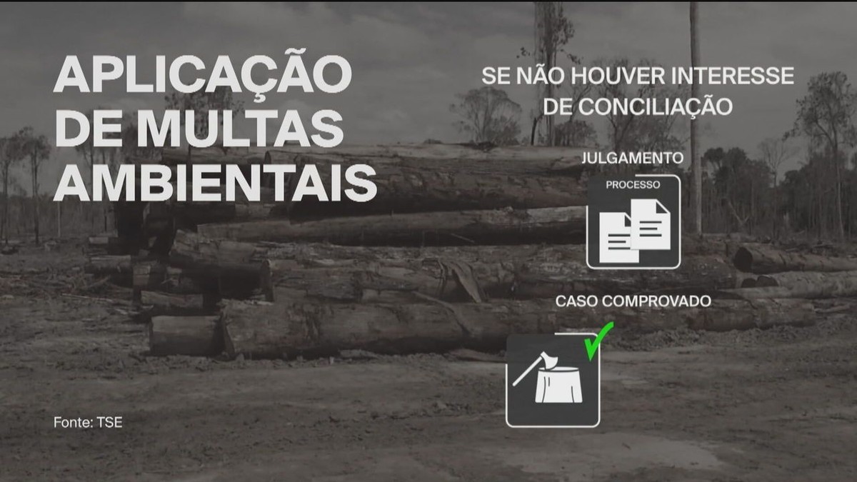 Acordos do Ibama com grandes empresas para substituição de multas entram na mira do TCU