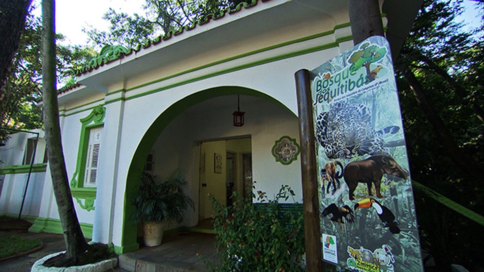 As Duas Versoes Da Fabula A Cigarra Ea Formiga Teatro Carlito Maia Recebe Espetaculo Infantil A Cigarra E A