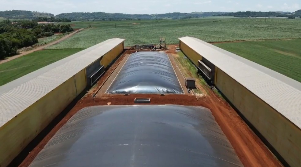 Além da energia solar, biogás também é alternativa para produtores — Foto: RPC/Reprodução