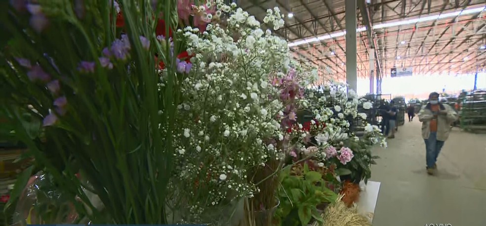 Ceaflor, em Jaguariúna (SP), reúne 350 produtores do setor de flores — Foto: Reprodução/EPTV