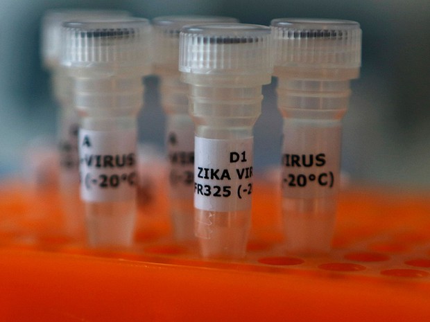 Suporte acomoda amostras de zika vírus na empresa de biotecnologia alemã Genekam (Foto: Ina Fassbender/Reuters)