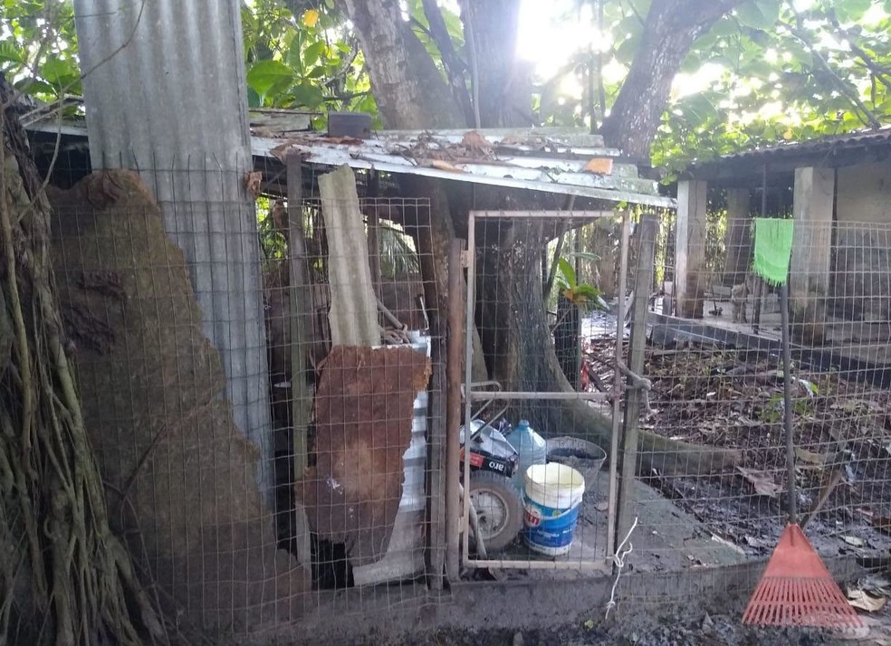 Quase 60 animais são achados em situação de maus tratos em imóvel na região metropolitana de Salvador. — Foto: Brigada K9