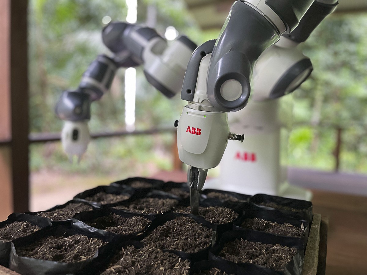 How a Swedish-controlled robot is helping reforest the Amazon |  one planet