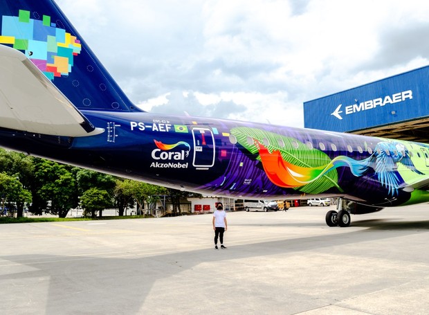 O avião mais colorido da América do Sul tem o objetivo de conscientizar as pessoas sobre a importância da biodiversidade (Foto: Divulgação / Tintas Coral)