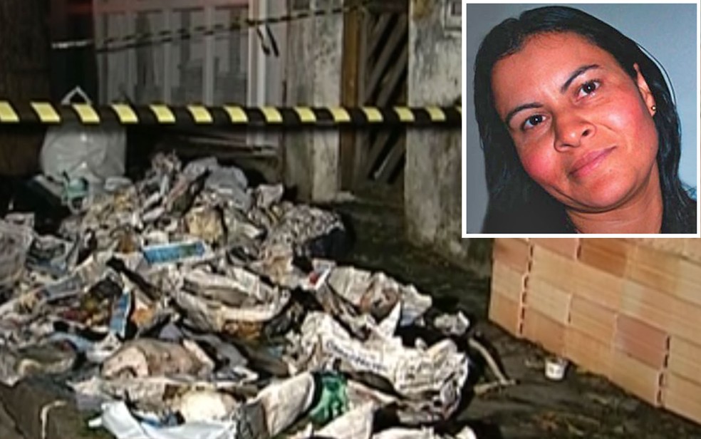 Quatro cães e 33 gatos foram encontrados mortos em sacos de lixo (na foto maior) na frente da casa de Dalva Lina da Silva (no detalhe); ela foi presa neste mês após ter sido condenada por maus tratos e mortes dos animais. A mulher nega o crime (Foto: Arquivo/Globo News/Reprodução)