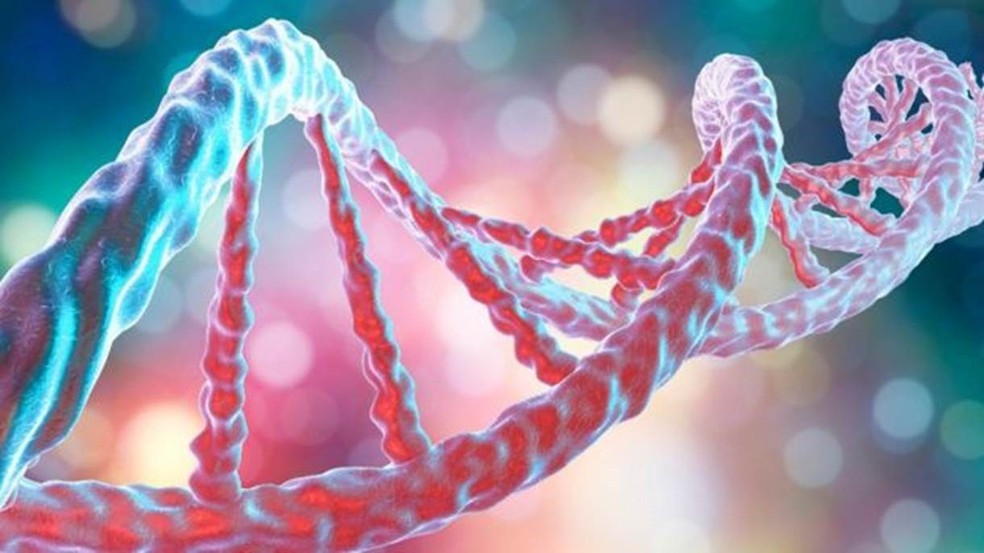 DNA &mdash; Foto: Science Photo Library 