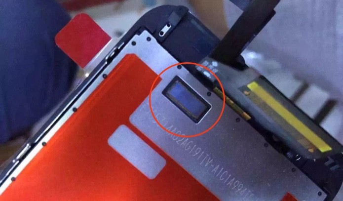 Foto mostra suposto componente responsável por Force Touch no iPhone 6S (Foto: Reprodução/9to5Mac)