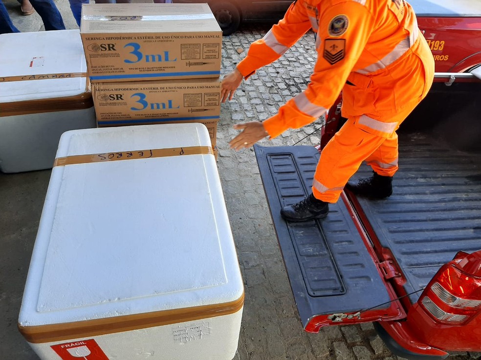 Sesap distribui mais de 184 mil doses de vacinas contra Covid a municípios potiguares — Foto: Divulgação/Paulo Nascimento