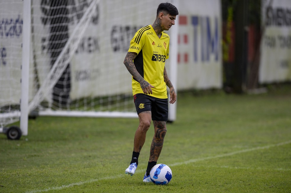 Erick Pulgar j&aacute; est&aacute; regularizado e &agrave; disposi&ccedil;&atilde;o do t&eacute;cnico do Flamengo &mdash; Foto: Marcelo Cortes/Flamengo