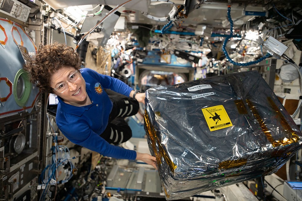 Engenheira de vôo da Expedição 61, Christina Koch, lida com o hardware científico guardado dentro de uma bolsa de transferência de carga recuperada da nave de reabastecimento SpaceX Dragon — Foto: NASA Johnson 