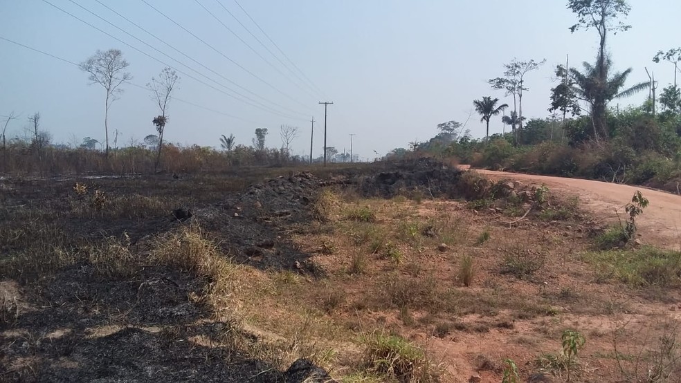 Reserva Ambiental Margarida Alves, após incêndio em Nova União (RO) — Foto: Reprodução/Redes Sociais 
