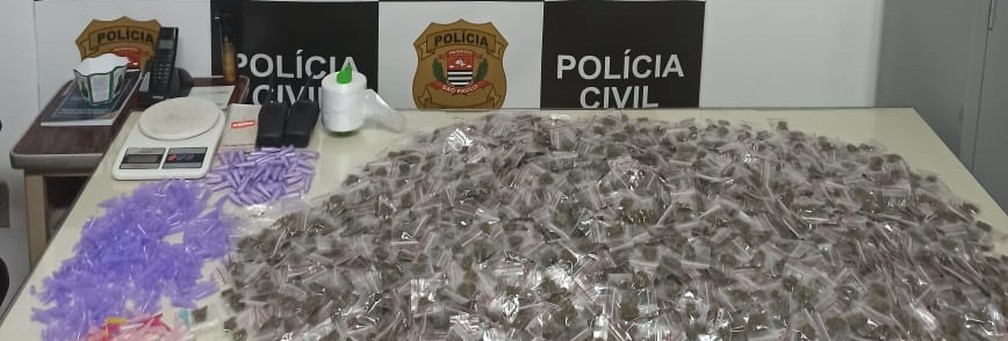 Porções de drogas apreendidas pela equipe do 11º DP de Campinas (SP) — Foto: Polícia Civil/Divulgação