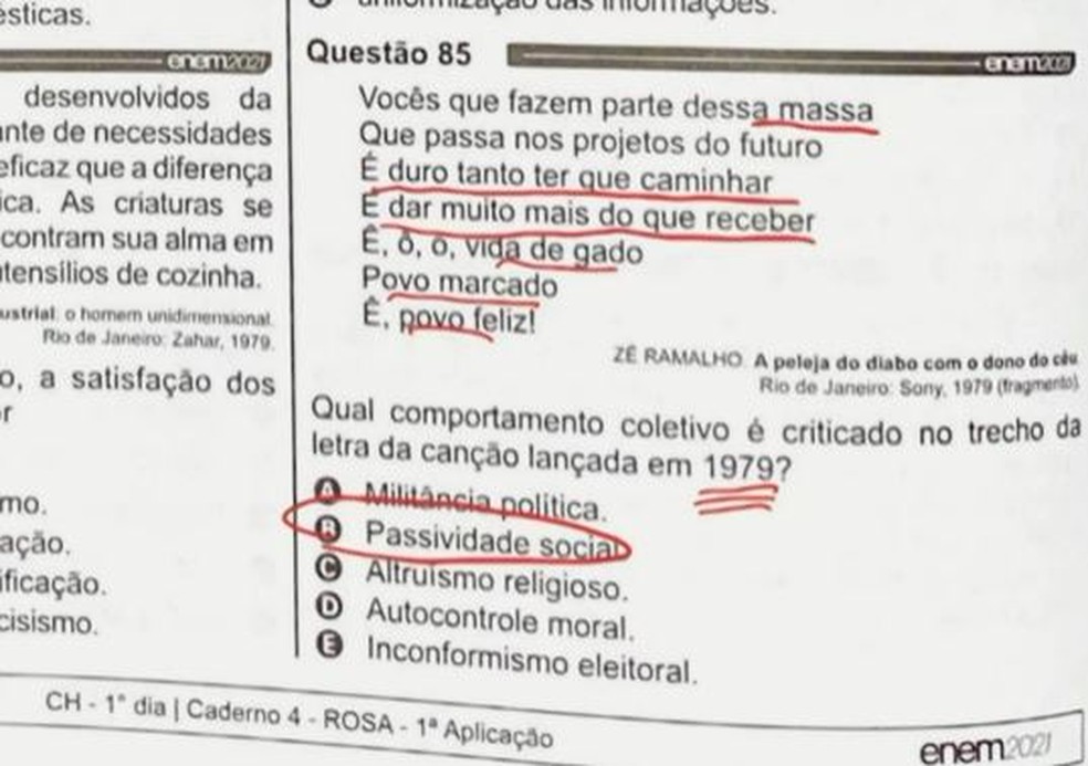 Questão do Enem abordou música 'Admirável Gado Novo', do cantor Zé Ramalho — Foto: Reprodução