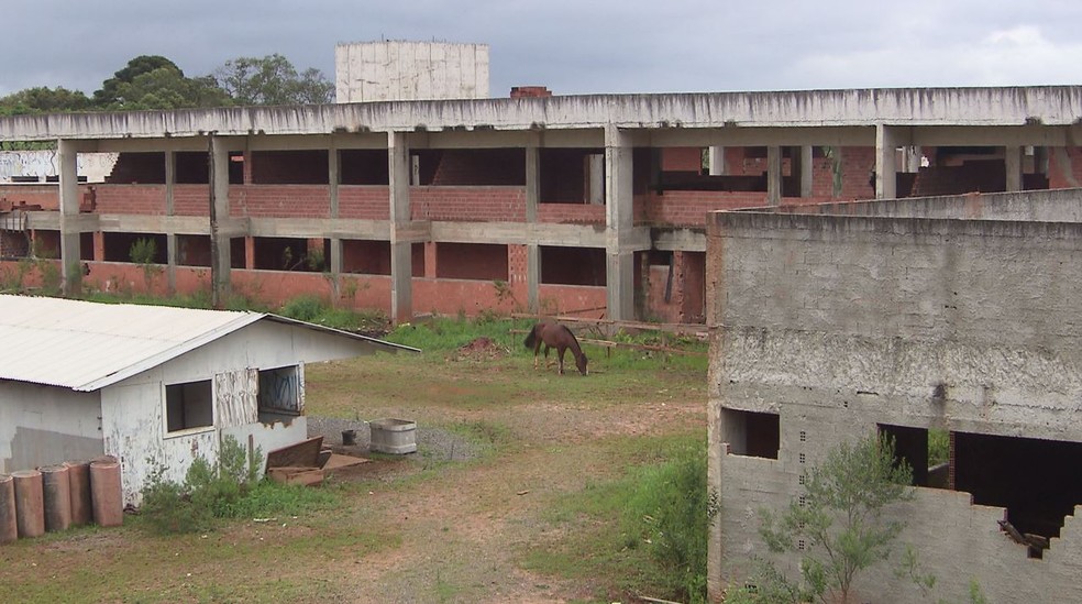 Quase 30 acusados viraram réus, em cinco anos desde a deflagração da primeira fase da Operação Quadro Negro — Foto: Reprodução/RPC