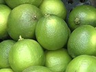 Safra do limão tahiti chega ao fim em SP e deixa os produtores animados