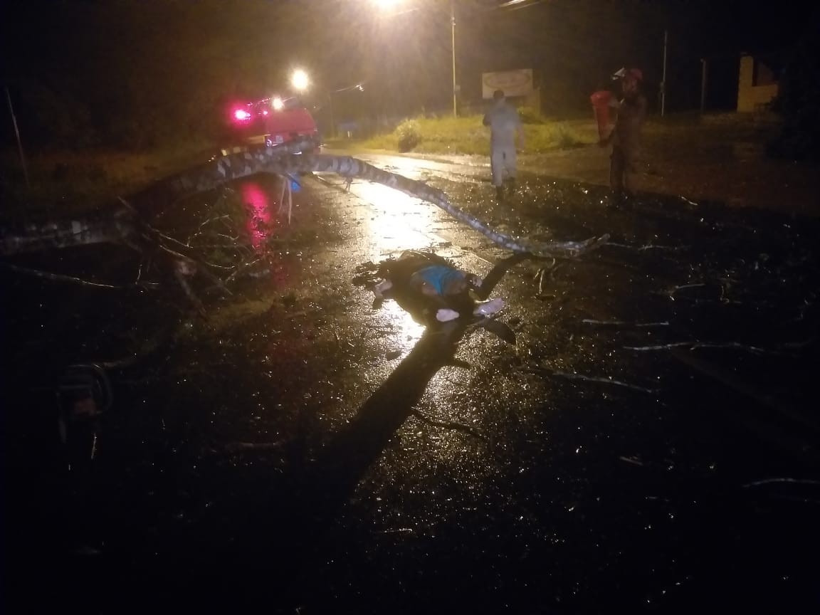Homem morre ao bater moto em árvore caída na rodovia Everaldo Martins, em Santarém