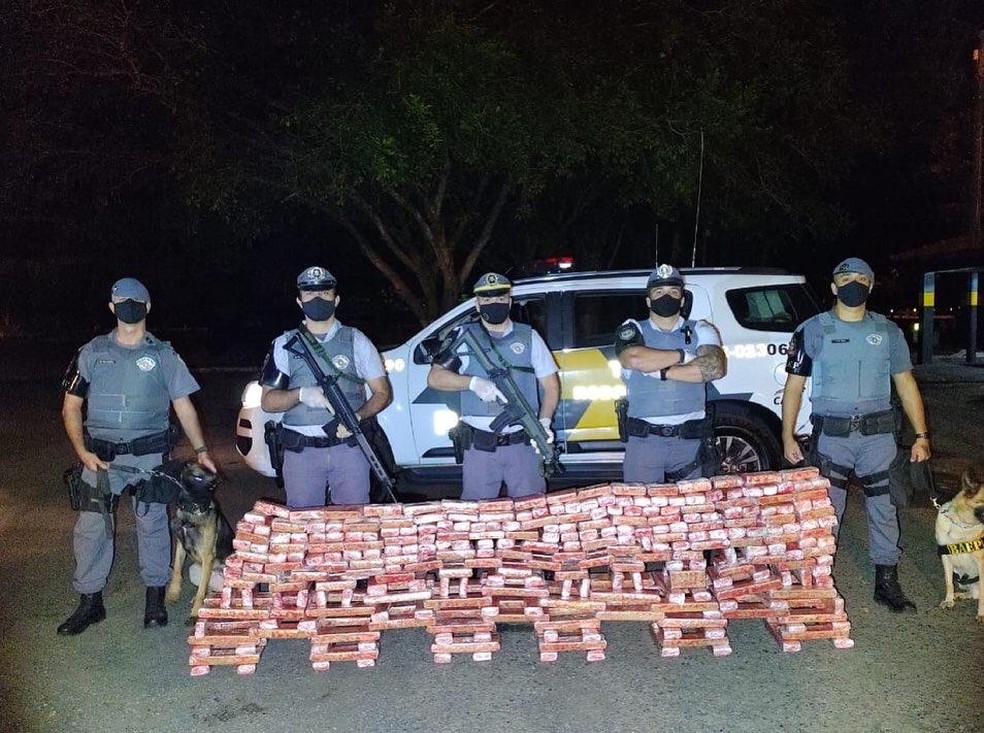 Cães farejadores encontraram maconha escondida em fundos falsos de caminhão em Paraguaçu Paulista (SP) — Foto: Policia Rodoviária/ Divulgação