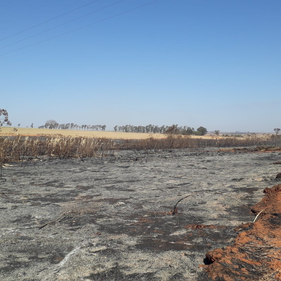 Homem é multado em quase R$ 160 mil por atear fogo em vegetação em Tarabai — Foto: Polícia Militar Ambiental