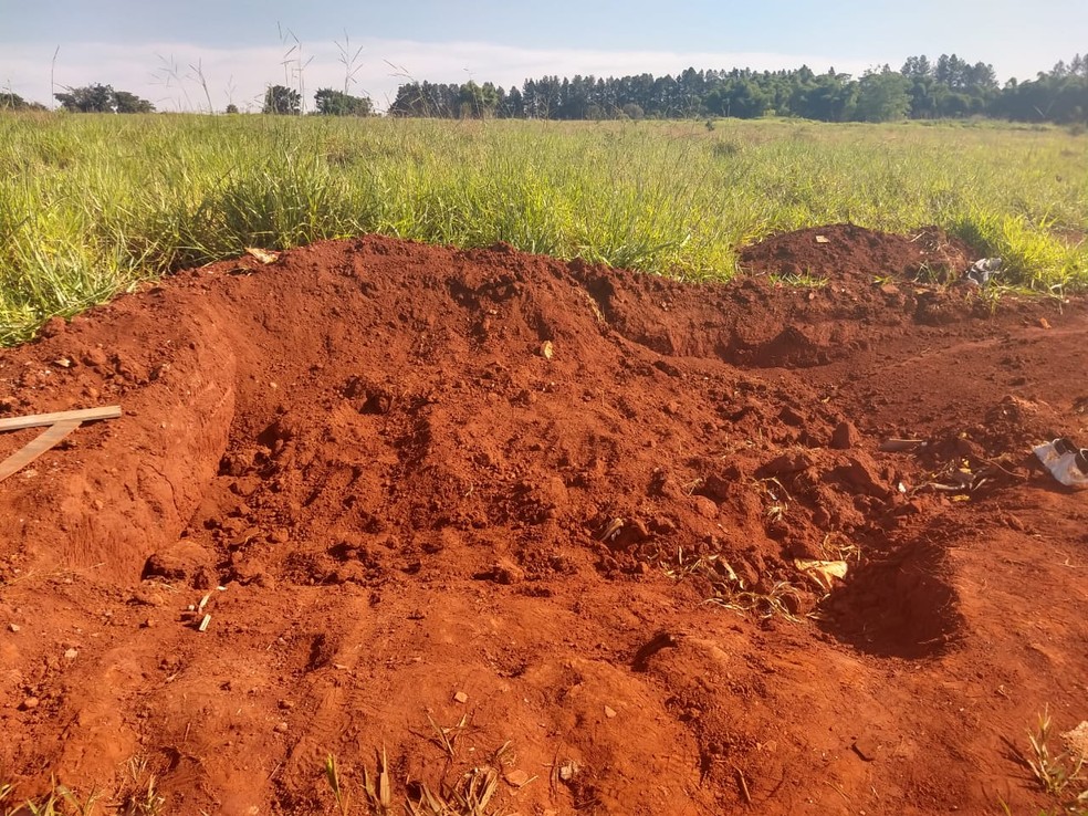 Corpo estava enterrado com os braços para fora, no Conjunto Primavera, em Goiânia, Goiás — Foto: Giovana Dourado/TV Anhanguera