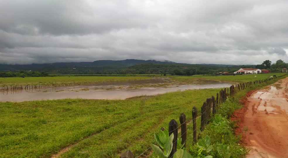 Chuva no Bairro Vila S&atilde;o Bento na cidade do Crato.  &mdash; Foto: Reprodu&ccedil;&atilde;o