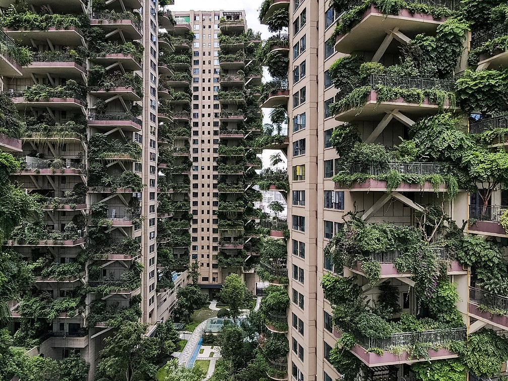 Foto tirada de 3 de agosto mostra apartamentos com varandas cobertas por plantas em um conjunto residencial em Chengdu, na província de Sichuan, no sudoeste da China — Foto: AFP