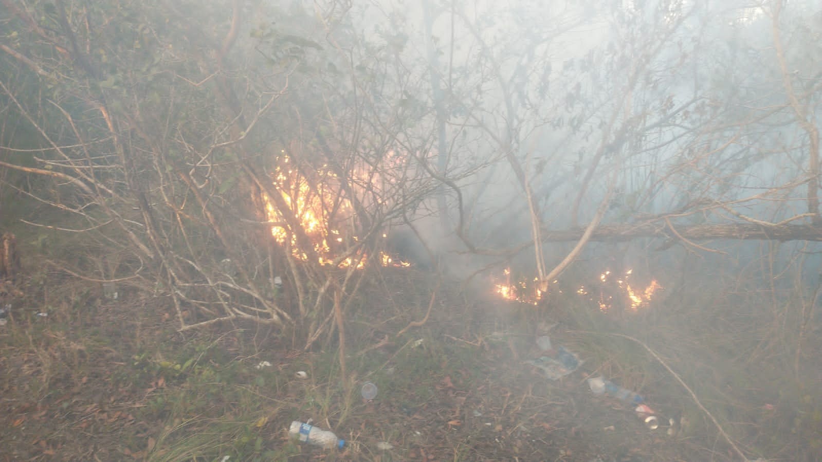 Em 24h, Arraial do Cabo registra pelo menos três incêndios florestais