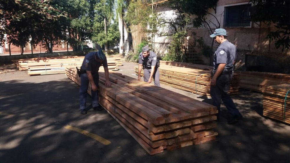 Madeira ilegal apreendida pela polícia (Foto: Divulgação/Polícia Ambiental)