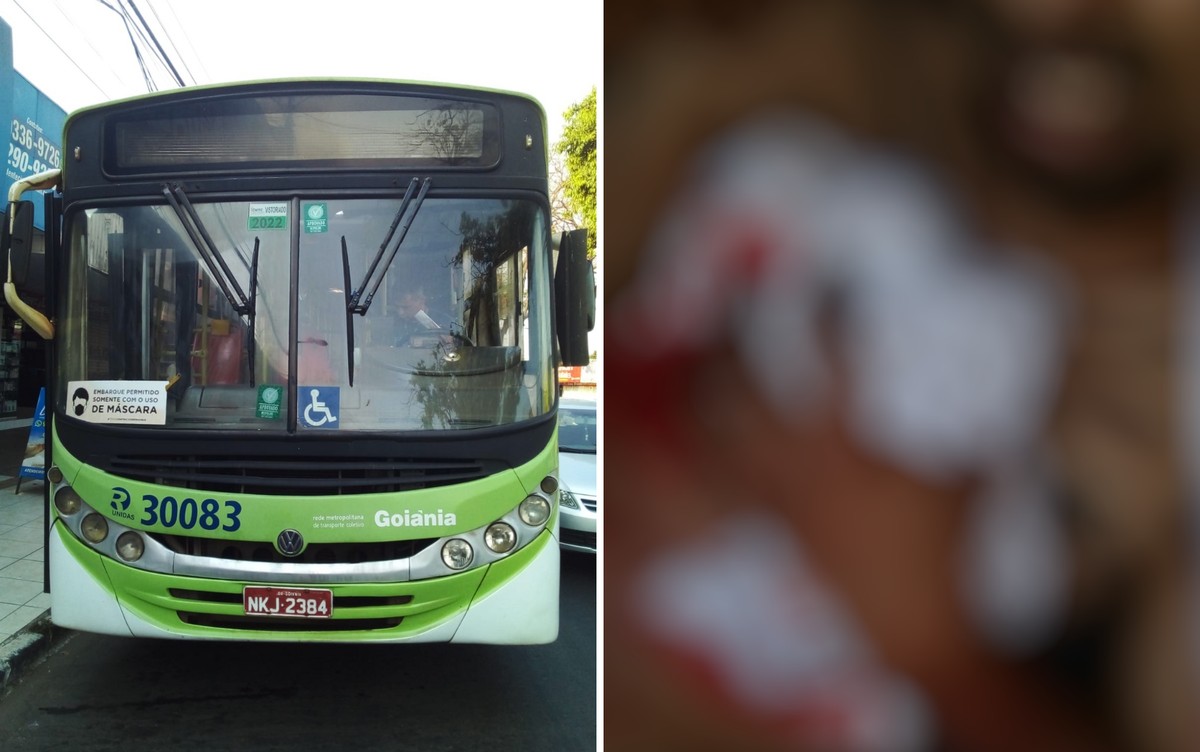 Motorista de ônibus dá facada em passageiro durante discussão em Goiânia,  diz polícia | Goiás | G1