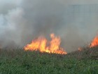 Estiagem aumenta número de pontos propícios a incêndio no Ceará