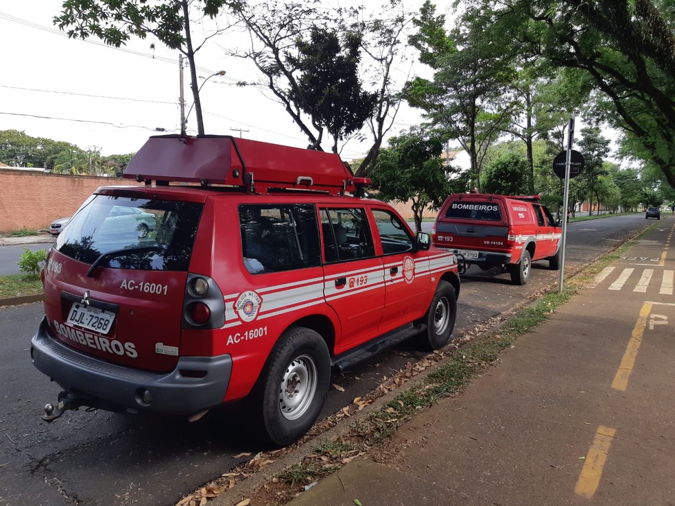 Equipes do Corpo de Bombeiros de Piracicaba retiram segundo corpo do Rio Piracicaba  — Foto: Edijan Del Santo/EPTV 