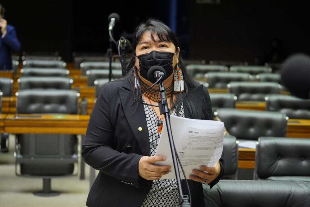 Joenia Wapichana (Foto: Crédito: Cleia Viana/ Câmara dos Deputados)