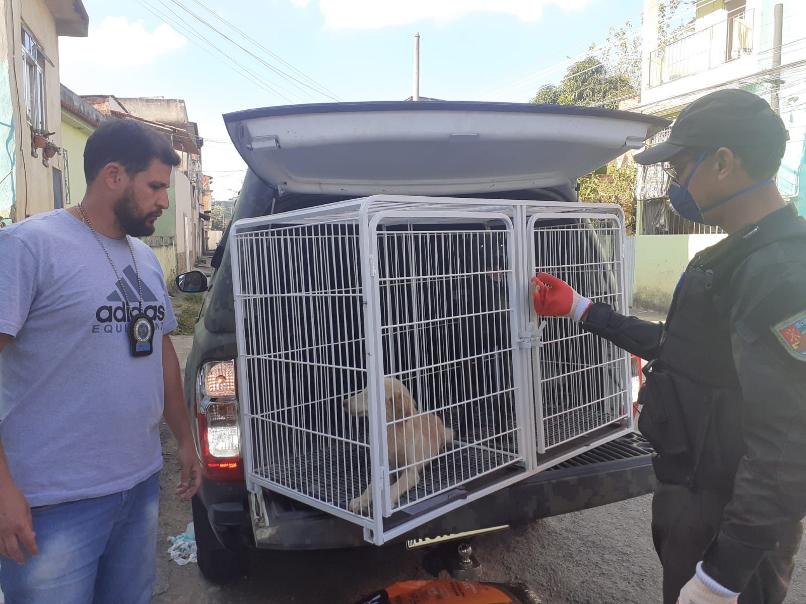 Após denúncias, animais abandonados são resgatados em Barra Mansa