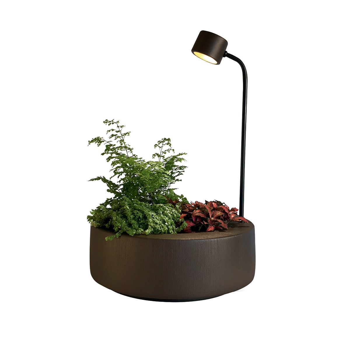 Com design de Mauricio D’Ávila para a Geo Luz & Cerâmica, a luminária Garden Bio une vaso e lâmpada (Foto: Divulgação)