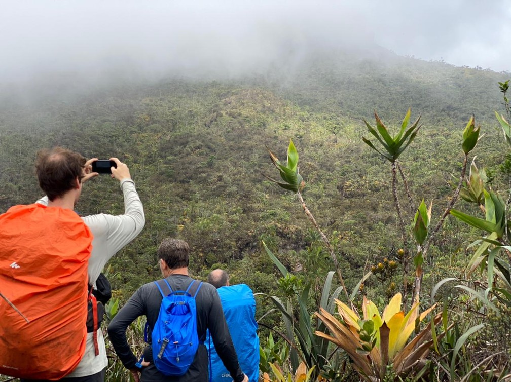 Expedição no Pico da Neblina acontece em um período de 15 dias. — Foto: Vanessa Marino