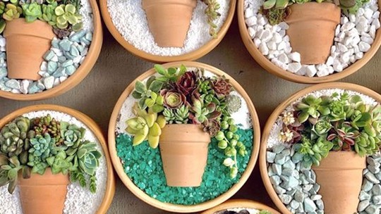 Vaso dentro do vaso: a tendência de jardinagem para plantar suculentas