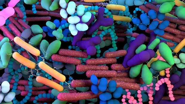O papel da microbioma do cérebro tem sido cada vez mais investigado pela ciência (Foto: Getty Images via BBC)