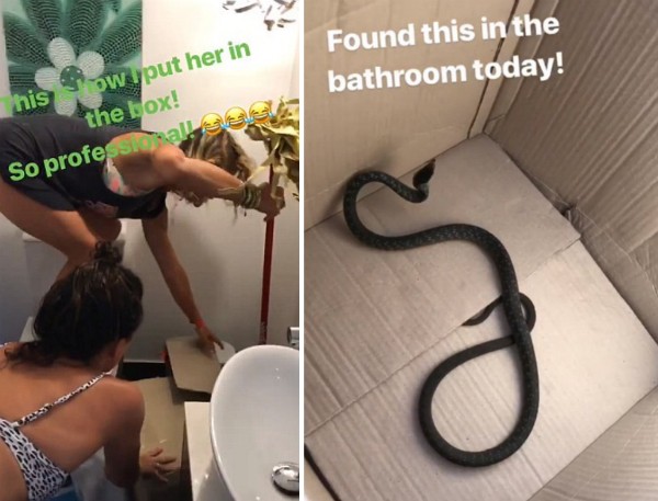 A atriz Elsa Pataky removendo as cobras encontradas por ela no banheiro de sua casa na Austrália (Foto: Instagram)