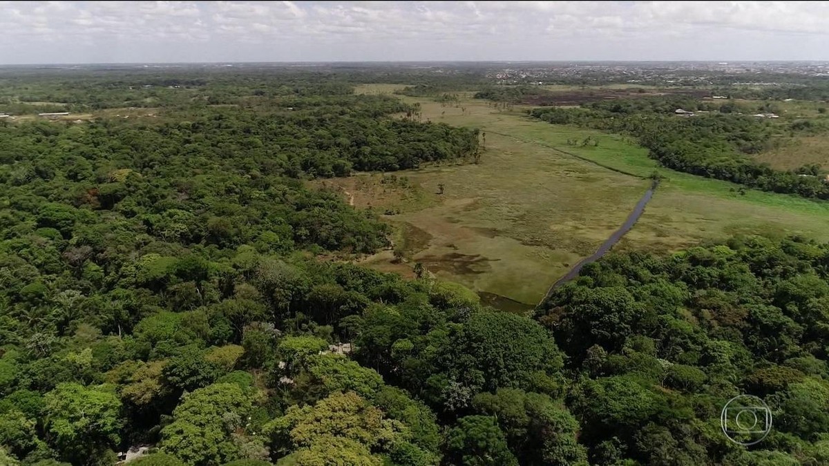 Maior parque em área urbana do Amapá reabre com espaços para ...