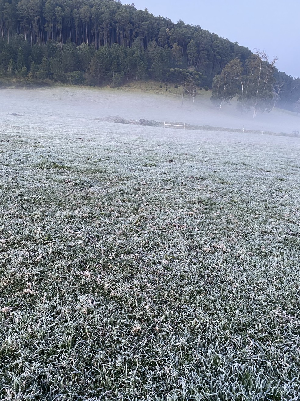 No Dia Mais Frio Do Ano Curitiba Registra Geada E Temperatura Abaixo De 5Âºc Fotos Parana G1